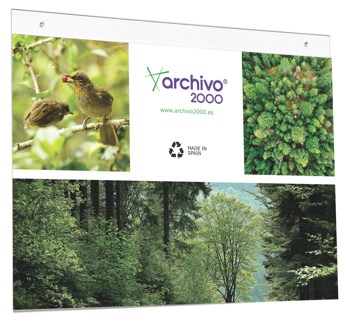 c8558fb8828521451eb2b394e7d2bdcdcd8e7bd6_256210 Expositor Mural Con Taladros Din A4 Horizontal Agujeros Pre-Perforados Medidas 30 X 23.5 Cm Archivo 2000 - Imagen 1